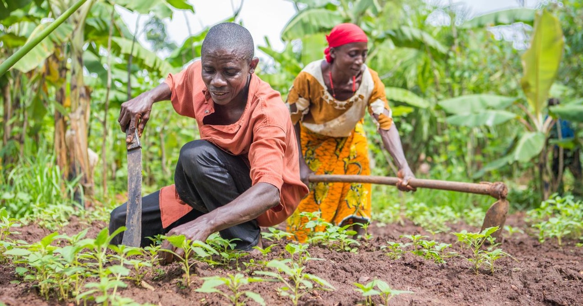 financement climatique au Burundi