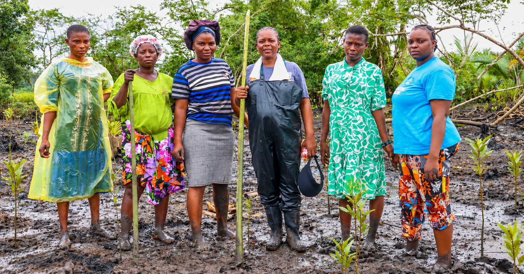 Restauration des mangroves par des femmes dans le delta du Niger au Nigeria